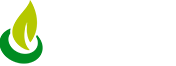 Seed Grain