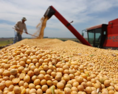 Datagro vê exportação de soja do Brasil em 90,5 milhões de toneladas em 2022, alta de 3,4%